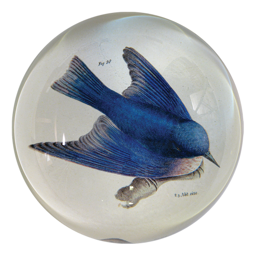 john derian Pudgy (Bluebird) Dome Paperweight