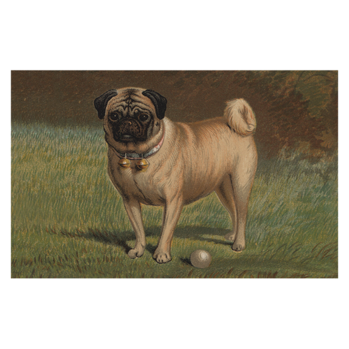 john derian Pug & Ball Postcard (Pack of 10)