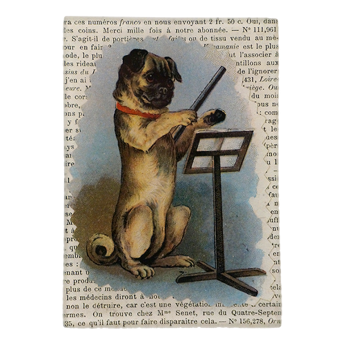john derian Pug Conductor 3.5 x 5" Tiny Rect. Tray