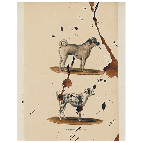 john derian Pug Dog (p 330) 11" x 14" Rect. Tray