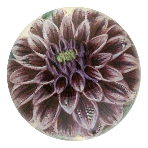 john derian Purple Dahlia Dome Paperweight