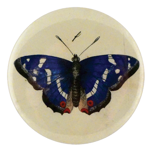 john derian Purple Emperor Butterfly Mirror & Pin
