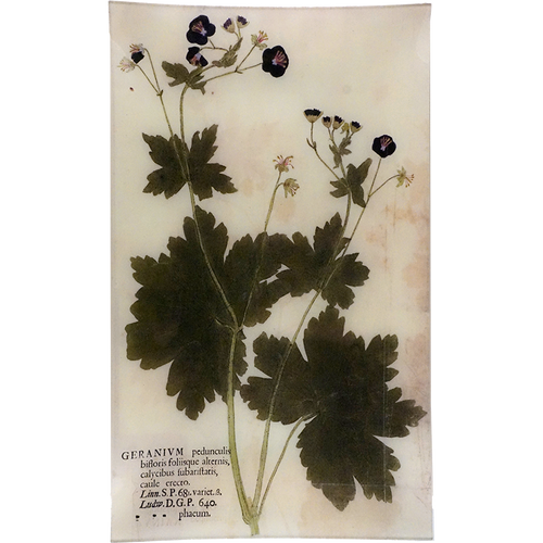 john derian Purple Geramium 12 x 20" Rect. Tray