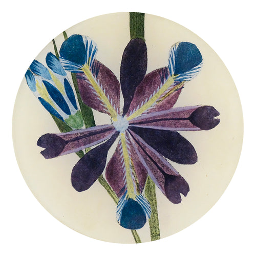john derian Purple Iris 5 1/4" Round Plate
