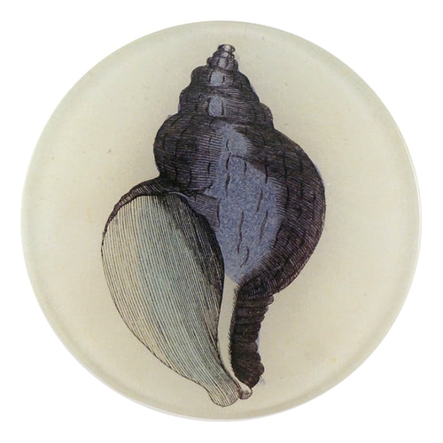john derian Purple Shell 4" Round Plate