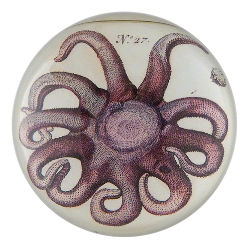 john derian Purple Starfish Dome Paperweight
