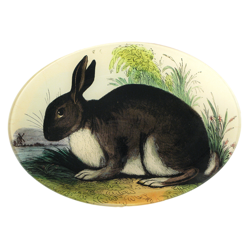 john derian Rabbit 7 x 10" Oval