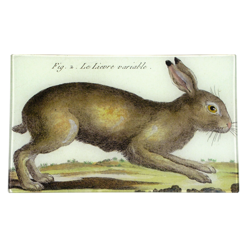 john derian Rabbit 7 x 11.5" Rect. Tray