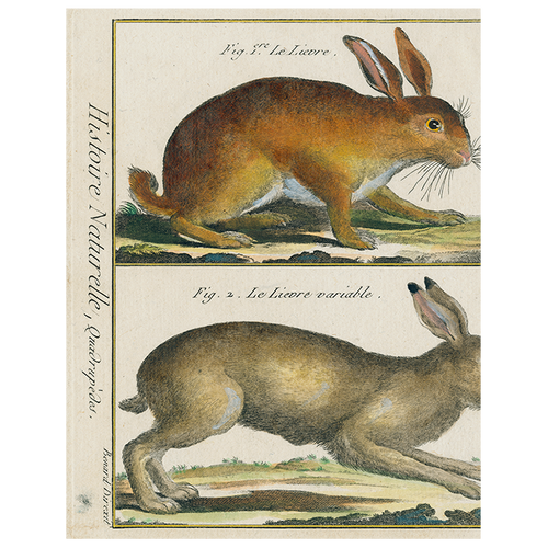 john derian Rabbit (p 137) 11" x 14" Rect. Tray