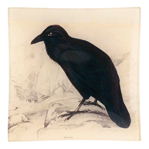 john derian Raven Un Vide Poche (6" Square)