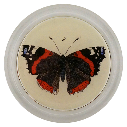john derian Red Admiral Butterfly 6" Coaster