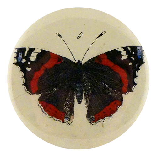 john derian Red Admiral Butterfly Mirror & Pin