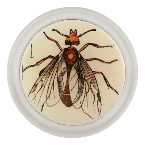 john derian Red Ant I. 4" Coaster