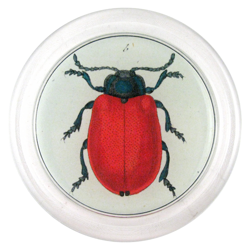 john derian Red Beetle 6" Coaster