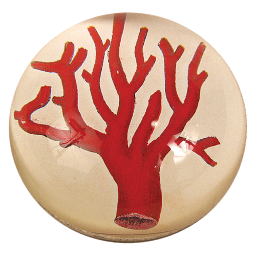 john derian Red Coral Dome Paperweight
