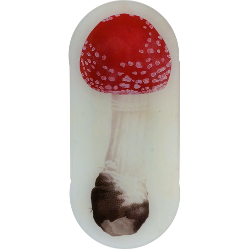 john derian Red Mushroom Fig. 2 6 x 12" Oblong Tray