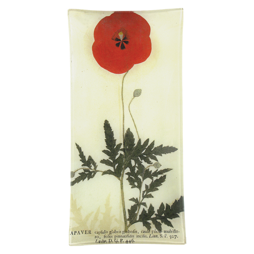 john derian Red Poppy 6 x 12" Pencil Tray