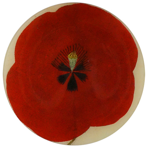 john derian Red Poppy Center 11" Round Plate