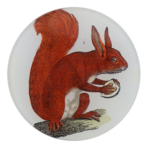 john derian Red Squirrel 4" Round Plate