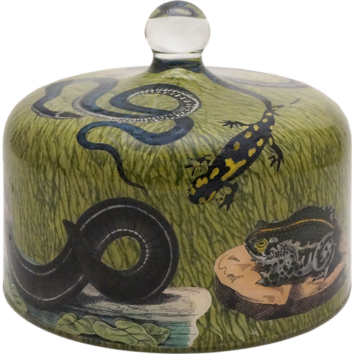 John Derian Reptiles & Amphibians Bell Jar / Dome
