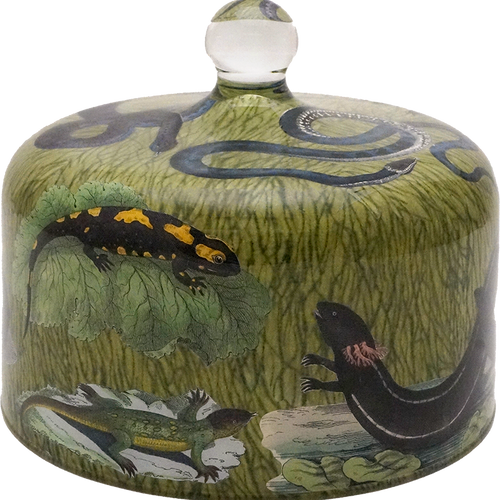 John Derian Reptiles & Amphibians Bell Jar / Dome