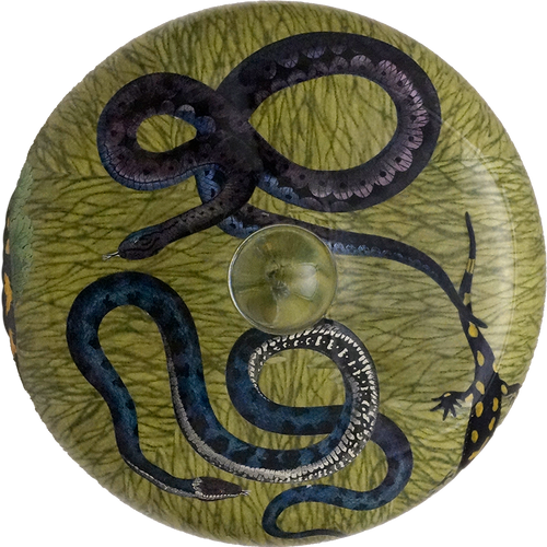 John Derian Reptiles & Amphibians Bell Jar / Dome
