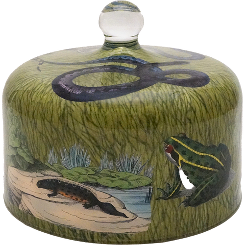 john derian Reptiles & Amphibians Bell Jar / Dome