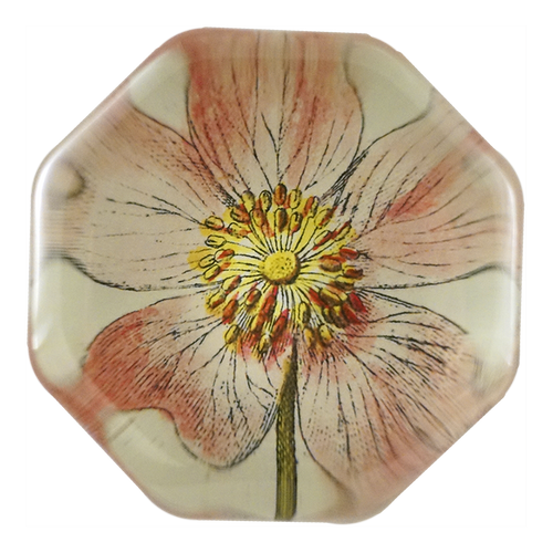 john derian Rosa Canin Octagonal Charm