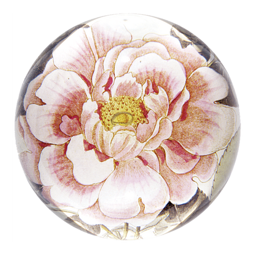 john derian Rosa Dome Paperweight