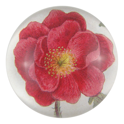 john derian Rosa Rubra Dome Paperweight