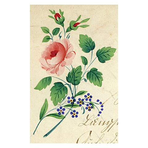 john derian Rose Spray Postcard (Pack of 10)