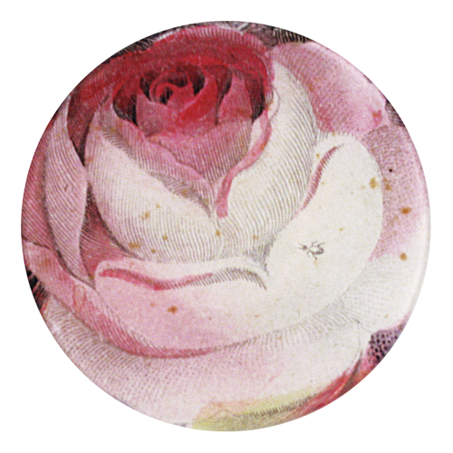 john derian Rose with Ant 5 1/4" Round Plate