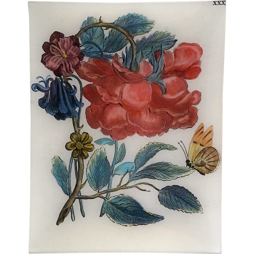 john derian Rose XXXXI 10" x 13" Rect. Tray