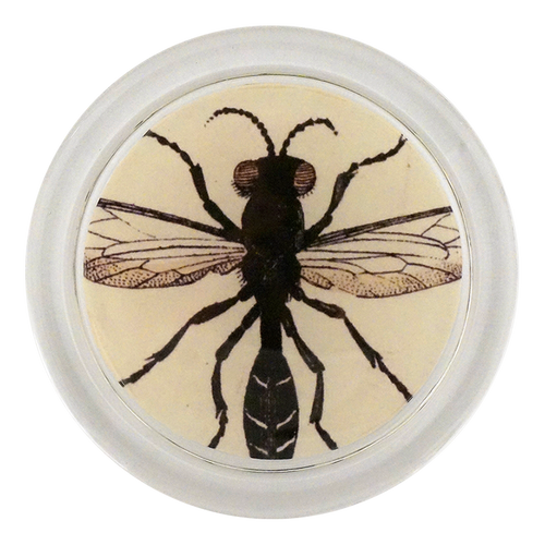 john derian Rubber Fly 4" Coaster