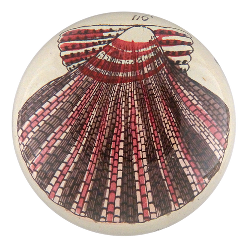 john derian Scallop 116 Dome Paperweight