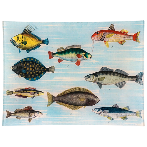 john derian School of Fish 9 x 12" Rect. Tray