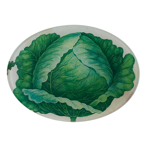john derian Scrapbook Cabbage 5 x 7" Oval