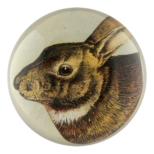 john derian Scrapbook Hare Dome Paperweight