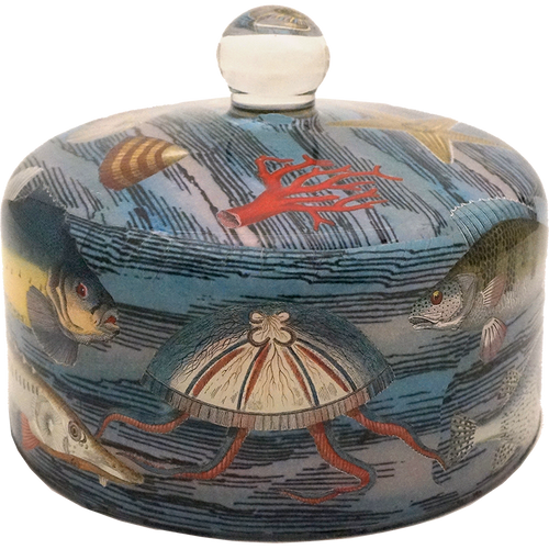 John Derian Sea Life Bell Jar / Dome