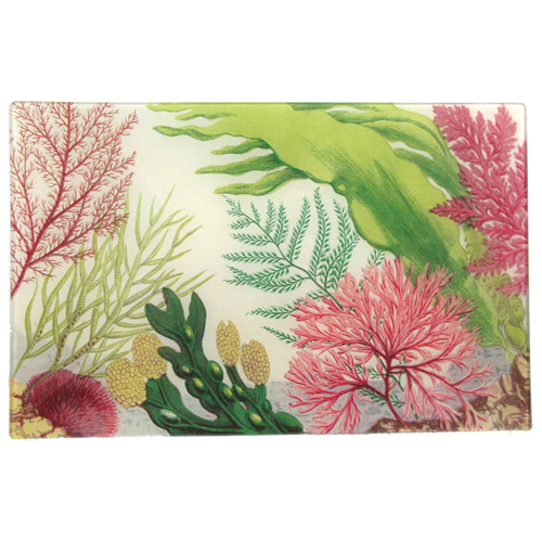 john derian Sea Life D 9 x 14" Letter Tray