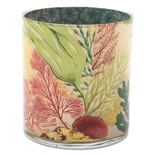 John Derian Sea Life Desk Cup