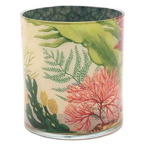 John Derian Sea Life Desk Cup