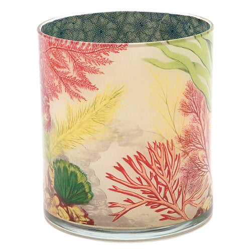 john derian Sea Life Desk Cup