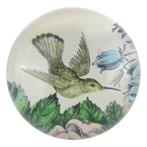 john derian Sepia Hummingbird Dome Paperweight