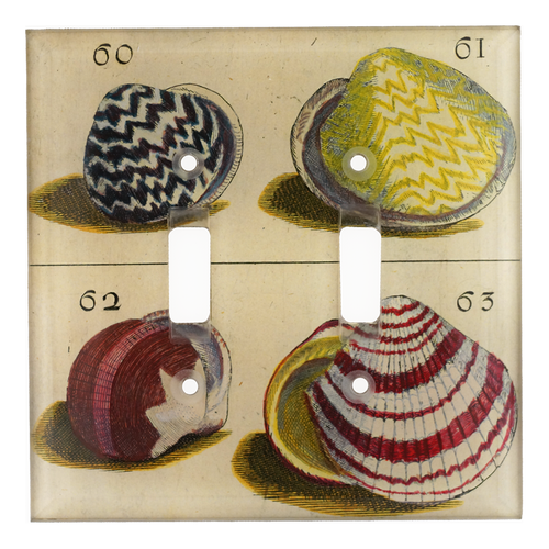 john derian Shells #60 Double Switch Cover