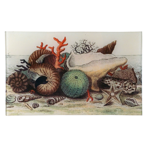 john derian Shells circa 1755 7 x 11.5" Rect. Tray