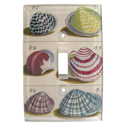 john derian Shells Switch Plate Cover
