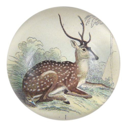 john derian Sitting Deer Dome Paperweight