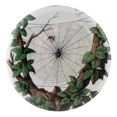 john derian Smaller Leafy Web Mirror & Pin