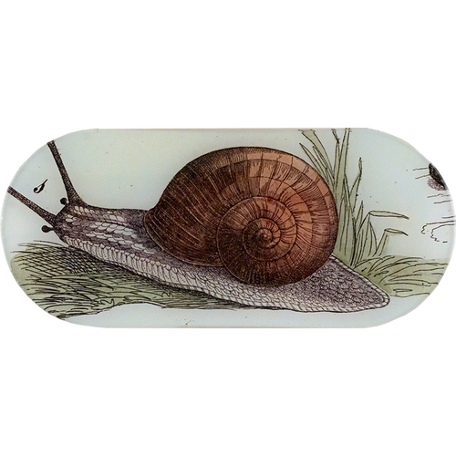 john derian Snail 6 x 12" Oblong Tray